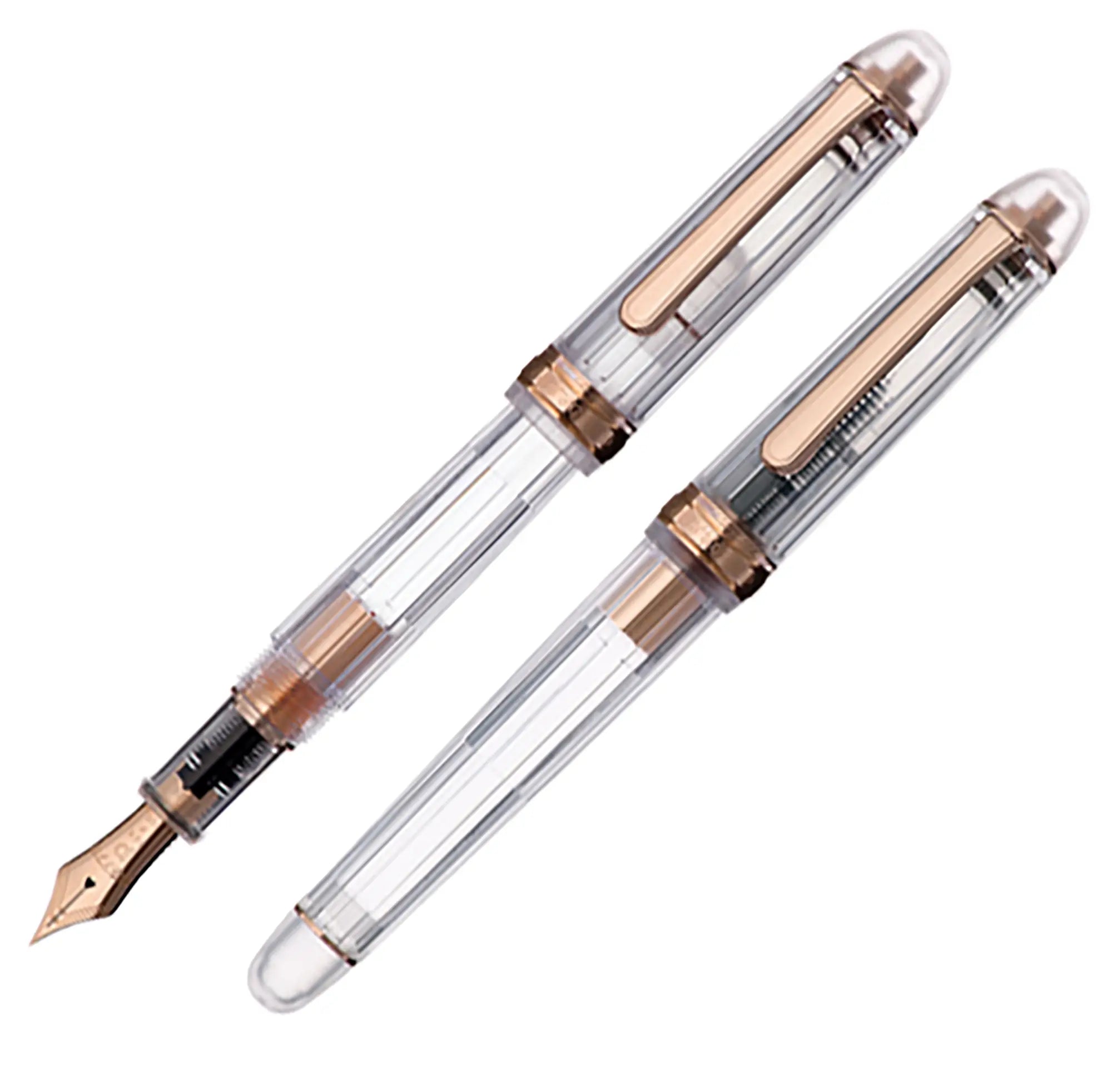 Platinum 3776 Nice Rose fountain pen - Fontoplumo